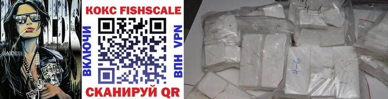 MEGA маркетплейс  Карачаевск  COCAIN Fish Scale 