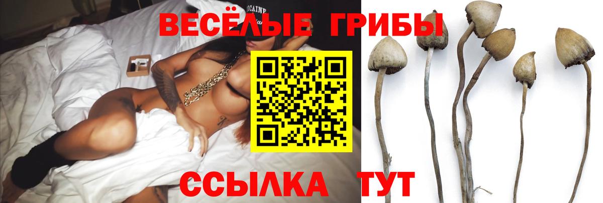 Карачаевск  Галлюциногенные грибы мухоморы  Вход с VPN 